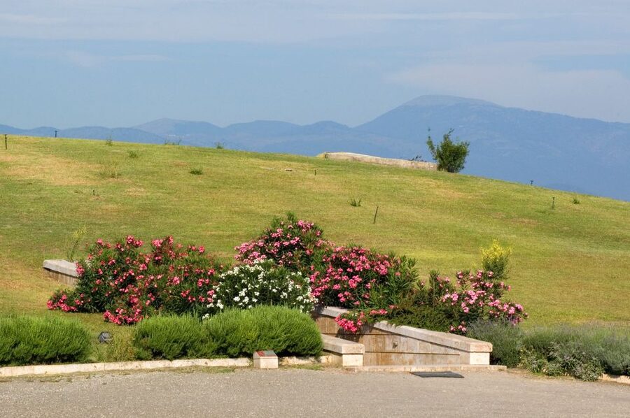 From Thessaloniki: Vergina & Veria Half-Day Tour - Your final hour in Vergina Village