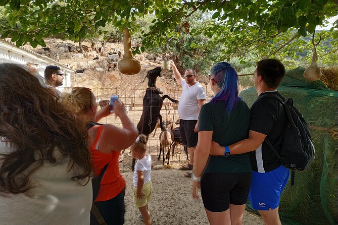 Full-Day Jeep Safari Tour with Cooking Lesson - Pinakiano turns lunch into a cooking lesson