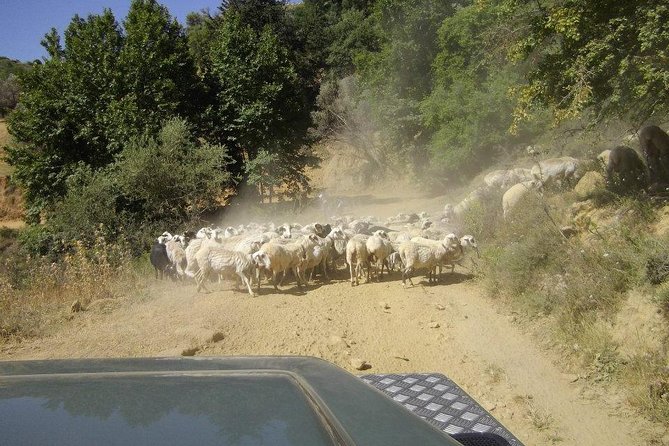Full-Day Land Rover Safari from Heraklion with Lunch - Meeting the shepherd at the mitato