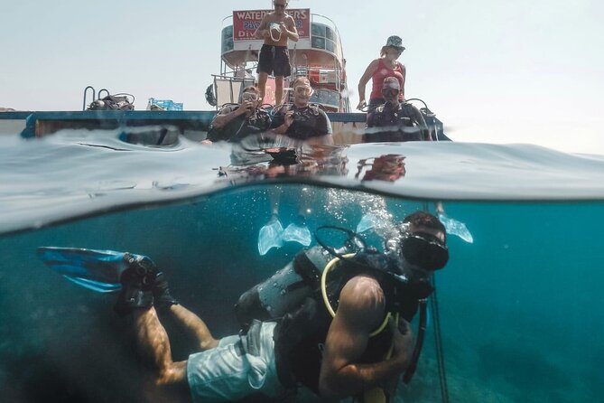 (Full day)Scuba Diving in Rhodes - What you see below the surface
