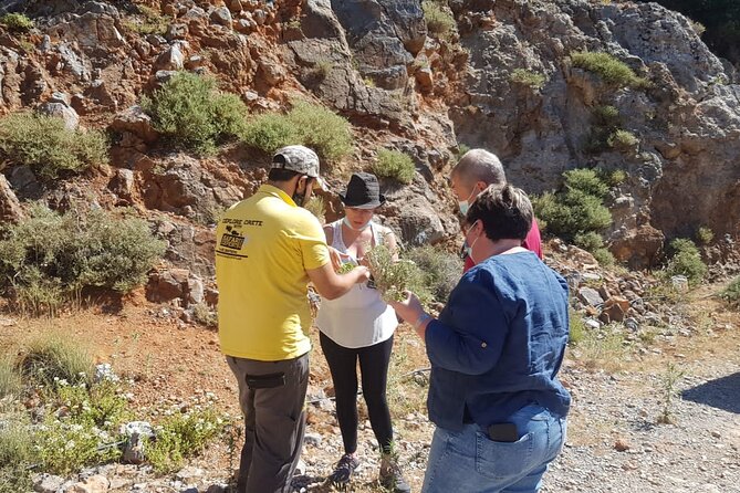 Full-Day Small-Group Tour in Crete with Zeus Cave Visit - Wood-oven cooking and a generous Cretan lunch
