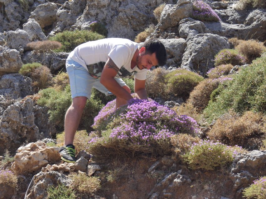 Georgioupolis Full-Day Land Rover Safari Experience - A Byzantine Church and Cretan Tasting Table