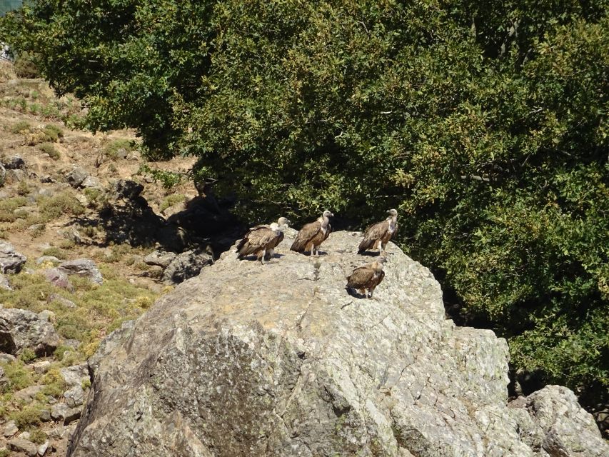 Georgioupolis Full-Day Land Rover Safari Experience - Lake Kournas Starts the Day Gently