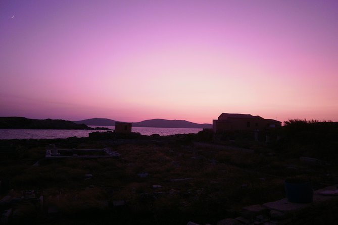Half-Day Delos Tour from Mykonos - The Hellenistic City and House of Dionysos