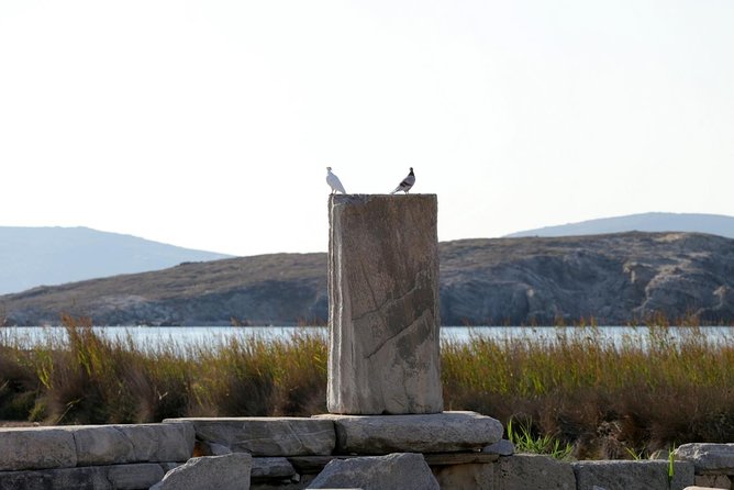Half-Day Delos Tour from Mykonos - Theatre of Delos and the city cistern