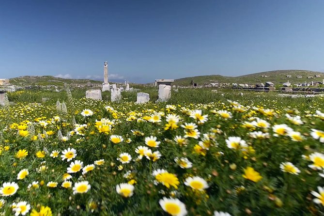 Half-Day Delos Tour from Mykonos - Crowds, weather, and comfort