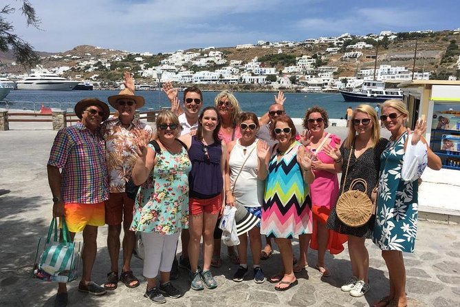 Half-Day Highlights of Mykonos Tour - Is $60.67 a fair price?