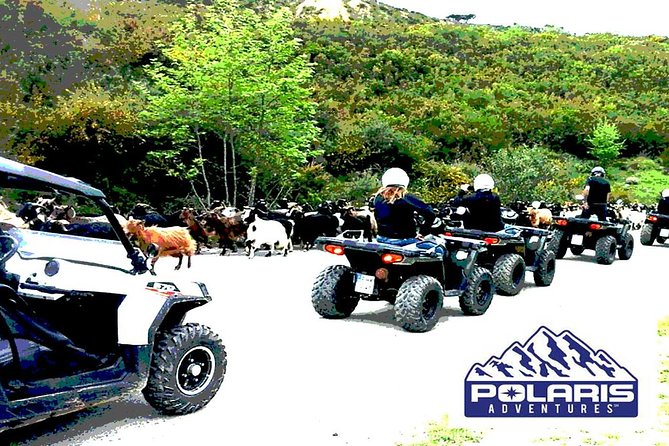Half-Day Rethymno Quad Safari - Guides, safety, and the human side of the trip