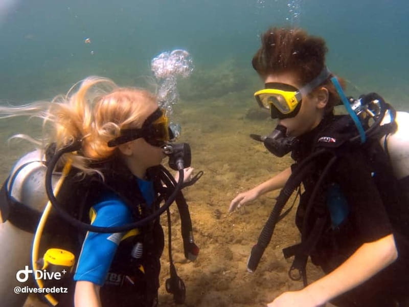 Halkidiki-Kassandra: Scuba Diving for Beginners - Equipment, lessons, and what is not included