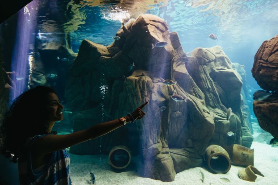 Heraklion Area: CRETAquarium Admission Ticket - Who should book CRETAquarium?