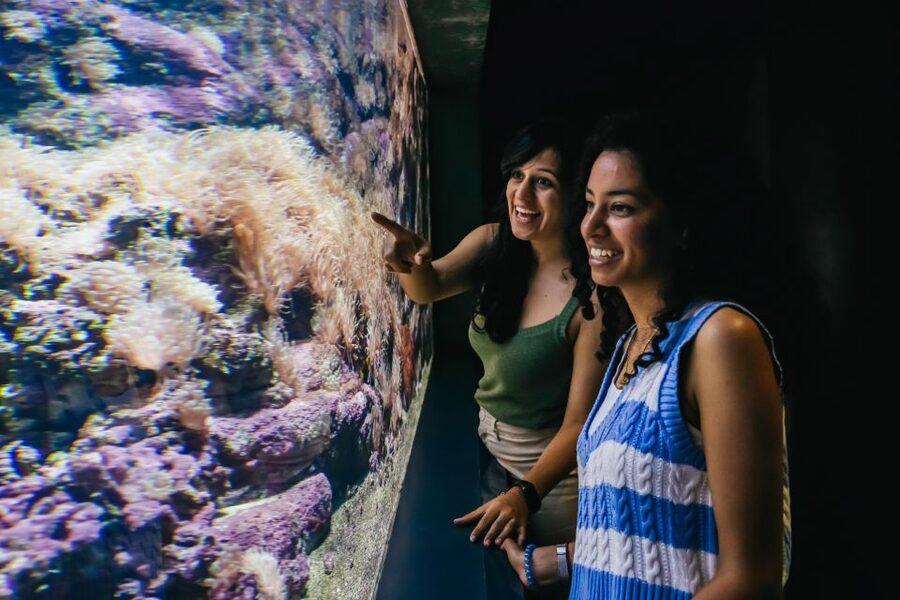Heraklion Area: CRETAquarium Admission Ticket - Why the research connection matters