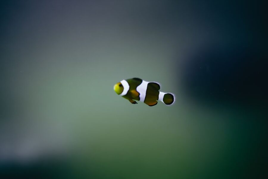 Heraklion Area: CRETAquarium Admission Ticket - Price, facilities, and overall value