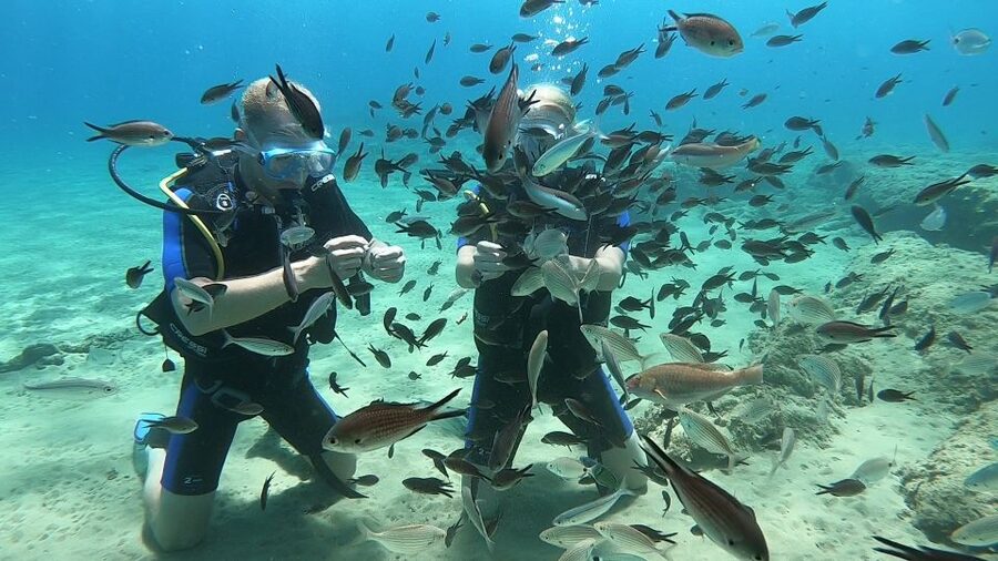 Heraklion: Beginner Scuba Diving Lesson with PADI Instructor - Safety practice before entering Agia Pelagia Bay