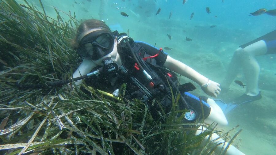 Heraklion: Beginner Scuba Diving Lesson with PADI Instructor - One hour of shallow scuba in the bay