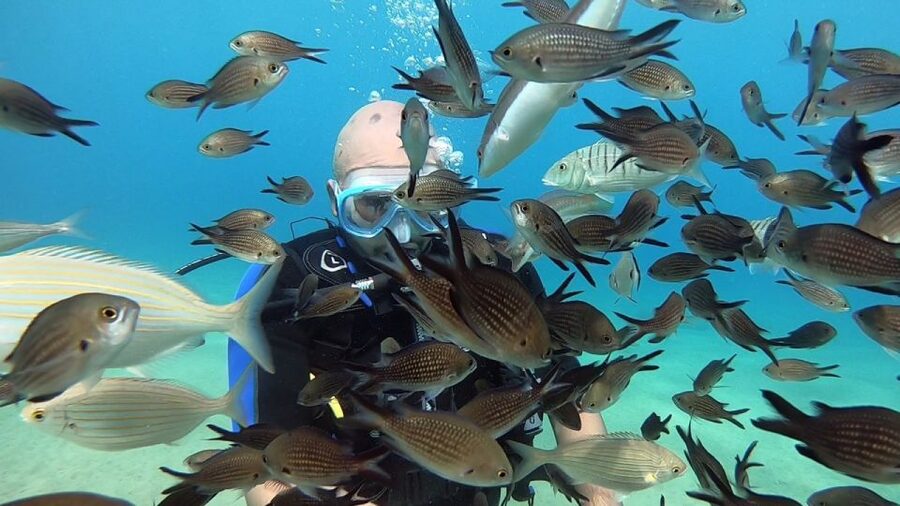 Heraklion: Beginner Scuba Diving Lesson with PADI Instructor - The instructors are the main reason to book
