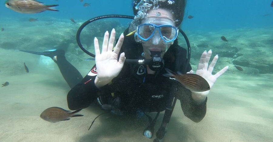 Heraklion: Beginner Scuba Diving Lesson with PADI Instructor - The journey from your hotel to the shore