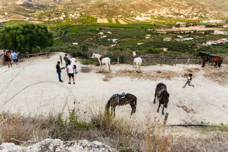Heraklion: Finikia Horse Riding Tour with Lunch or Dinner - Who should book the Finikia ride?
