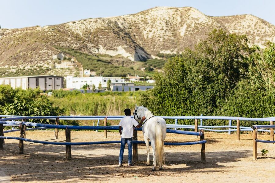Heraklion: Finikia Horse Riding Tour with Lunch or Dinner - Arriving at Finikia Horse Riding near Heraklion