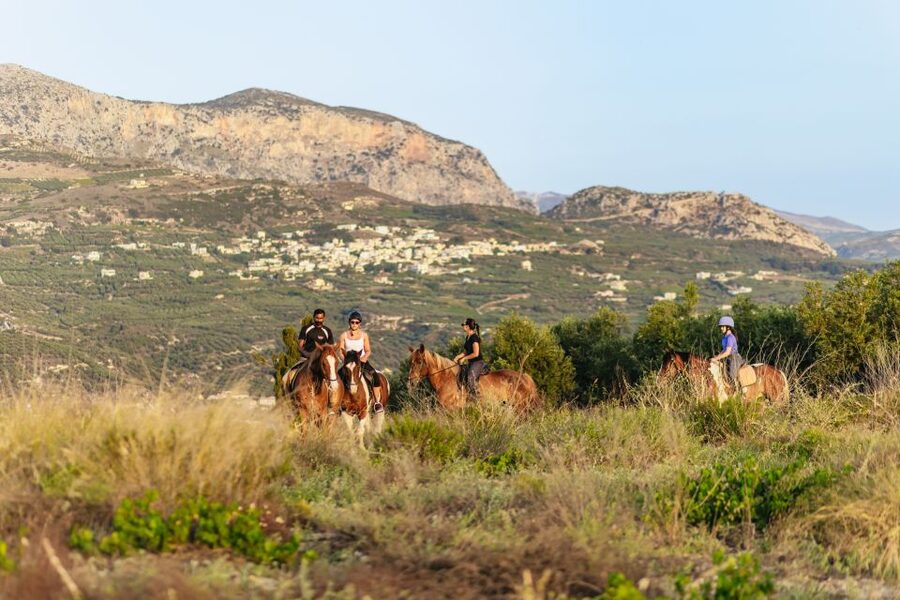 Heraklion: Finikia Horse Riding Tour with Lunch or Dinner - Two hours through olive groves and Finikia’s hills