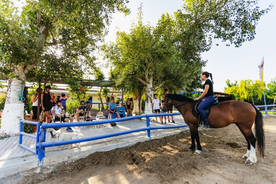 Heraklion: Finikia Horse Riding Tour with Lunch or Dinner - The farm meal is more than an afterthought