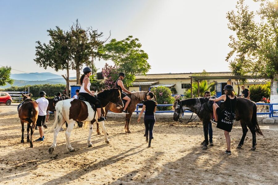 Heraklion: Finikia Horse Riding Tour with Lunch or Dinner - Horses, dogs, and the family-farm atmosphere