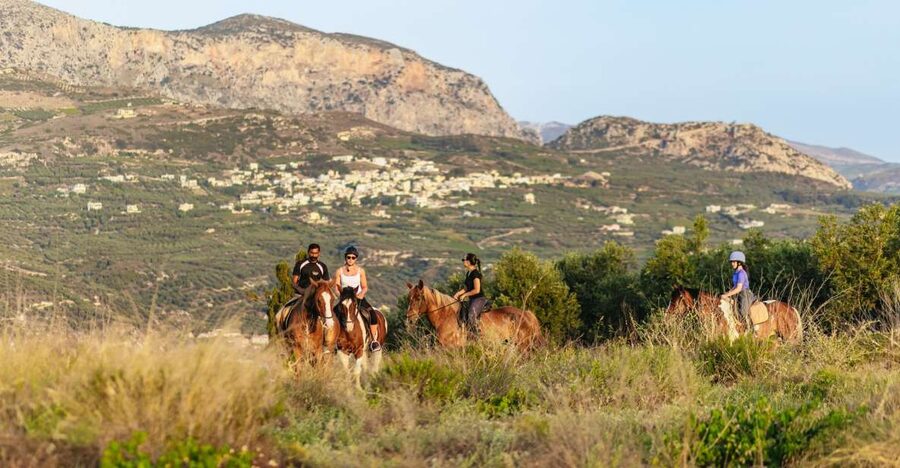 Heraklion: Finikia Horse Riding Tour with Lunch or Dinner - Coffee, paperwork, and choosing your horse