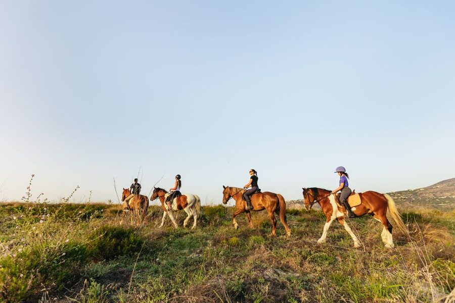 Heraklion: Horse Ride in the Cretan Mountains - Meeting the Horses at Finikia Farm
