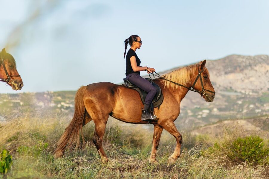 Heraklion: Horse Ride in the Cretan Mountains - Cantering for Experienced Riders