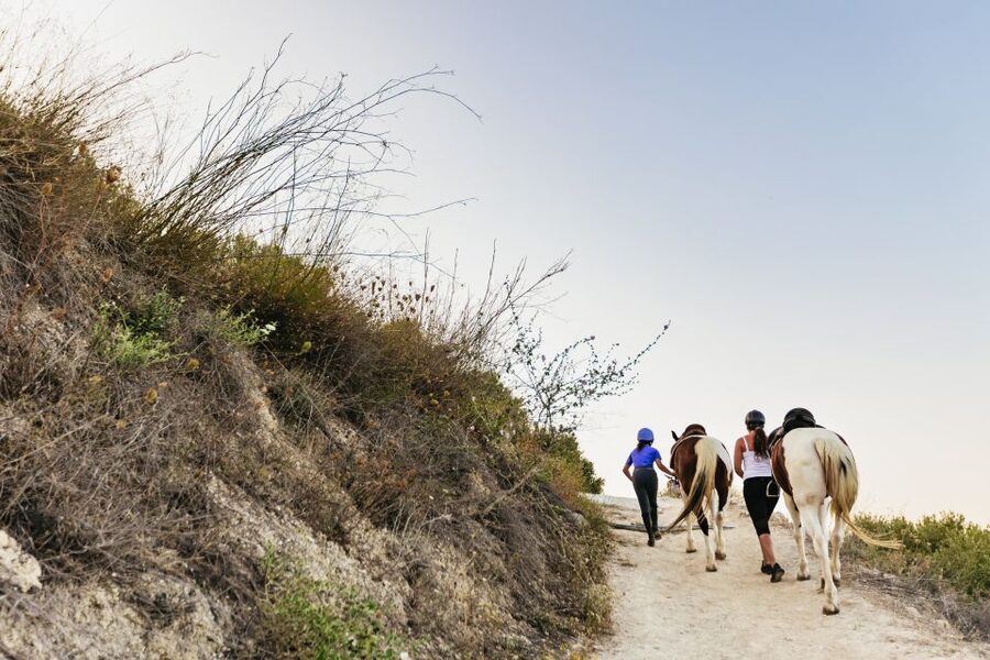 Heraklion: Horse Ride in the Cretan Mountains - Price, Practicalities, and Who Gets Good Value
