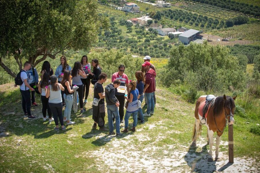 Heraklion: Horseriding Day Tour with Lunch and Transfer - A family-run start near Heraklion