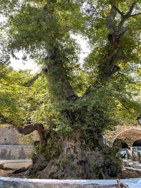 Heraklion: Knossos, Zeus, Villages & Olive Oil Factory Tour - Krasi and Crete’s ancient plane tree