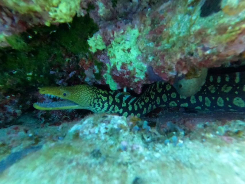 Heraklion: Scuba Diving Experience for Beginners _Beach - Who will enjoy this most?