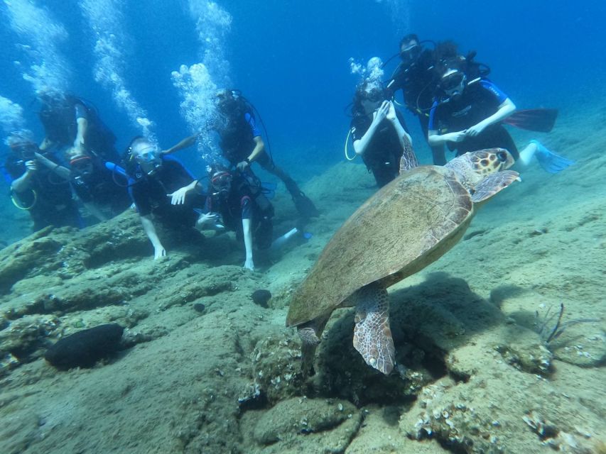 Heraklion: Scuba Diving Experience for Beginners _Beach - Transport from Heraklion and the waiting-time catch