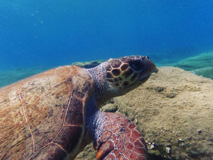 Heraklion: Scuba Diving Experience for Beginners _Beach - Is the $81 price good value?