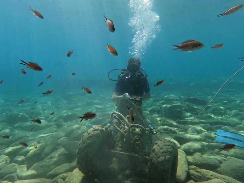 Heraklion: Scuba Diving Experience for Beginners _Beach - When to book, and what to avoid