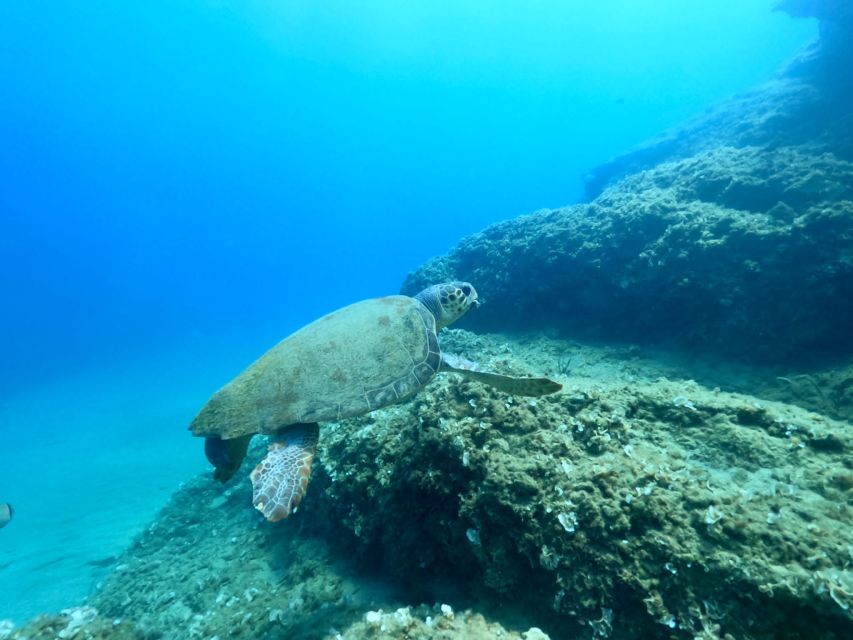 Heraklion: Scuba Diving Experience for First-Timers - What the six-hour outing really includes