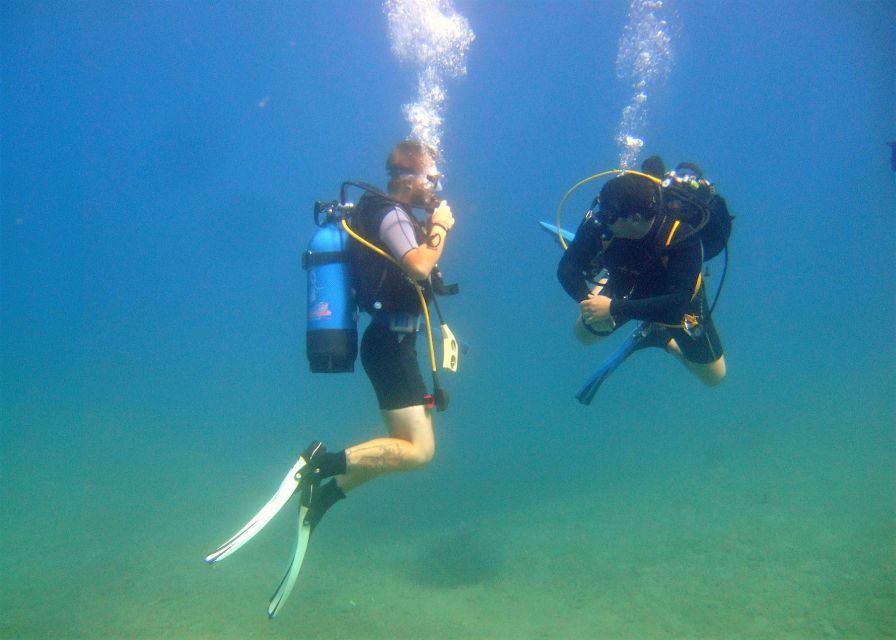 Heraklion: Scuba Diving Experience for First-Timers - Marine life, snorkeling, and time at the beach