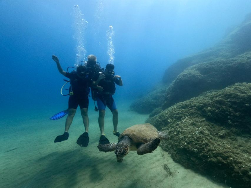 Heraklion: Scuba Diving Experience for First-Timers - Transfers from Heraklion and the north coast