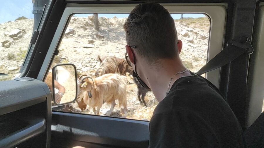 Heraklion: Self-Driving 4X4 Jeep Off-Road Tour with Lunch - A shepherd farm and a taste of rural Crete