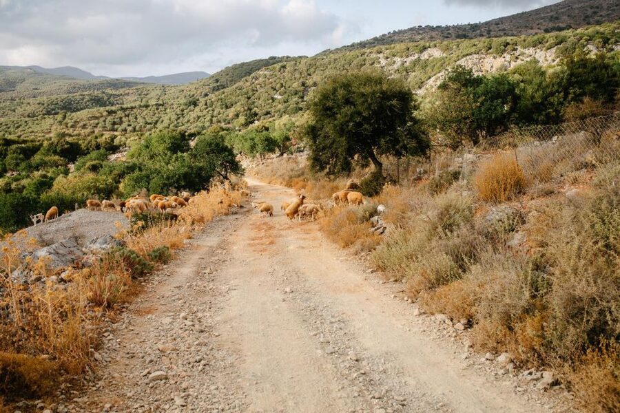 Heraklion: Self-Driving 4X4 Jeep Off-Road Tour with Lunch - The Lasithi Plateau by 4x4