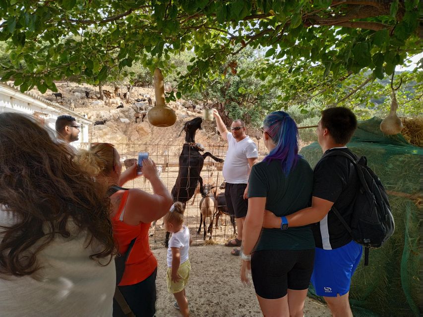 Heraklion: Self-Driving 4X4 Jeep Off-Road Tour with Lunch - Krasi and the ancient plane tree