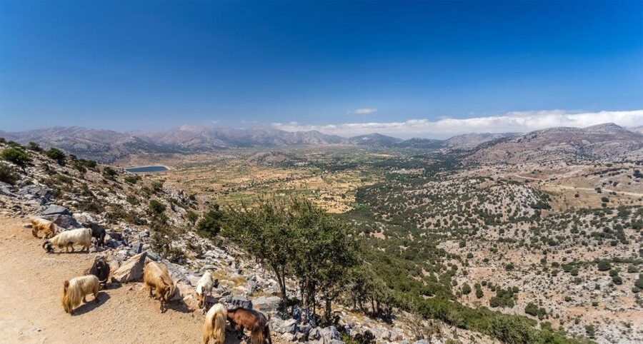 Heraklion: Sunset Safari with Dinner & Prosecco - Leaving Heraklion for the Minoan route