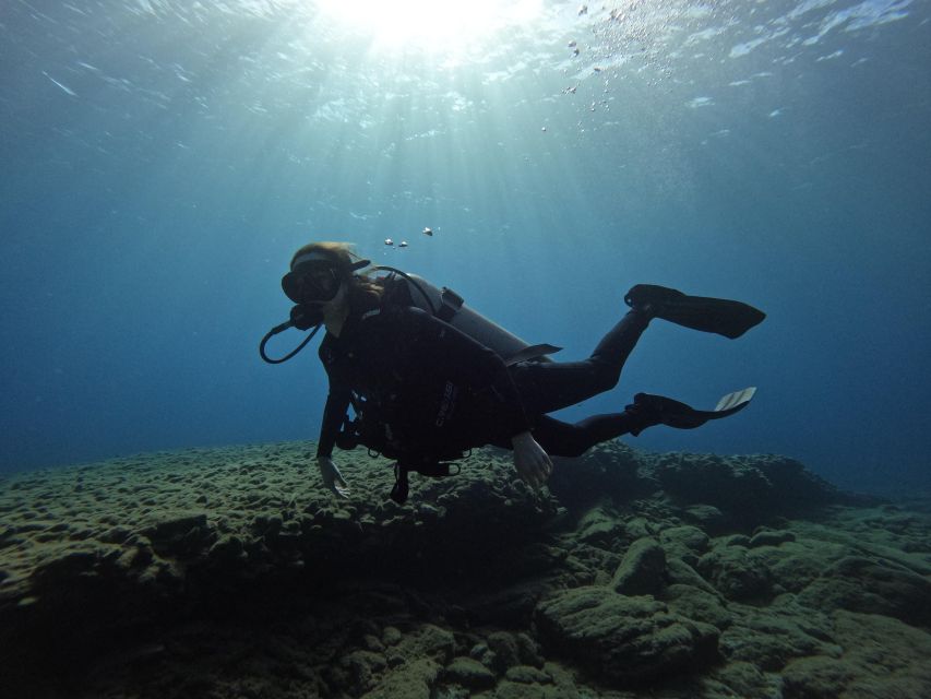 Heraklion: Try Scuba Diving For Beginners (1 dive) - Practical Tips for a Smoother Morning