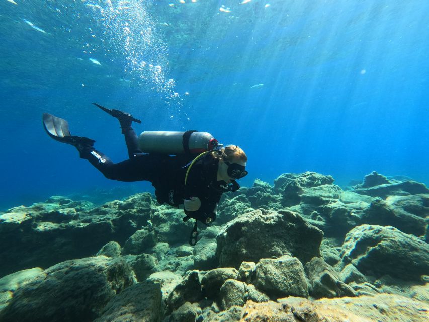 Heraklion: Try Scuba Diving For Beginners (1 dive) - What This Heraklion Scuba Program Really Is