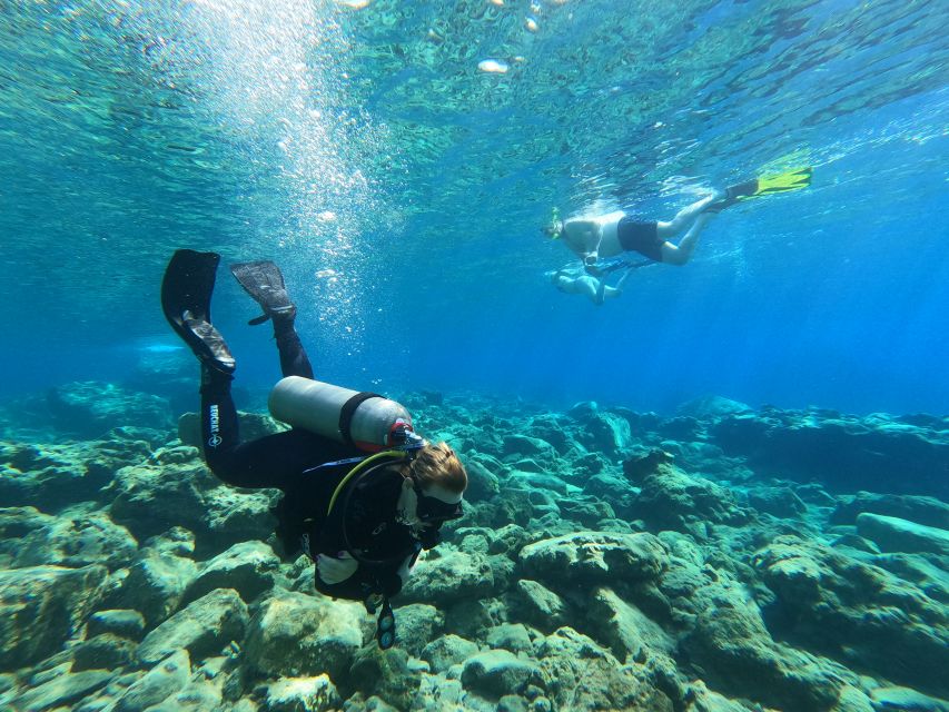 Heraklion: Try Scuba Diving For Beginners (1 dive) - Exploring the Cretan Sea in Shallow Water