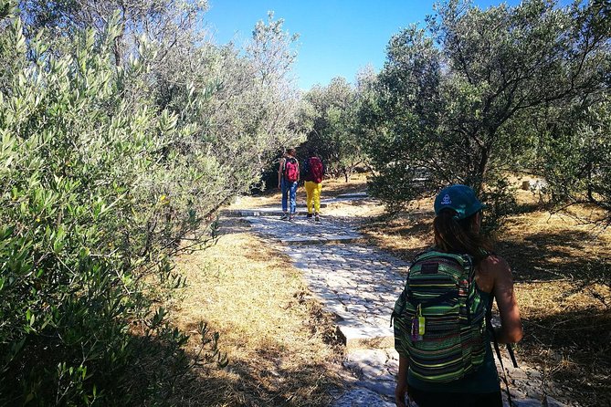 Hills Of Athens Walking Tour - Key things to know before you go