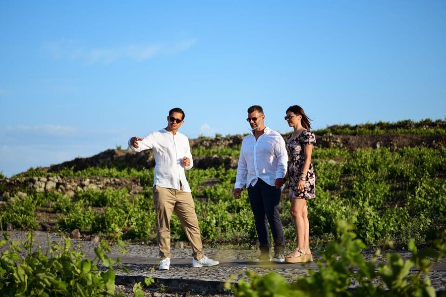 Imerovigli: Premium Wine Tasting with Caldera and Sea Views - The Caldera View Is Part of the Experience
