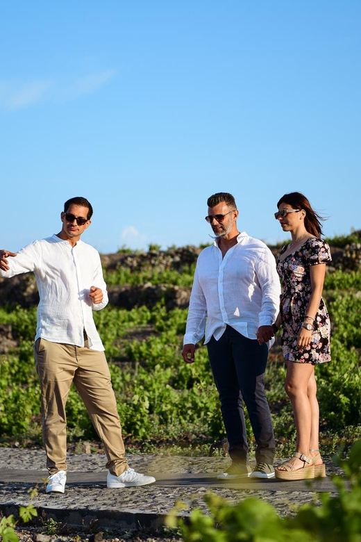 Imerovigli: Premium Wine Tasting with Caldera and Sea Views - Should You Book the Cavalieri Wine Tasting?