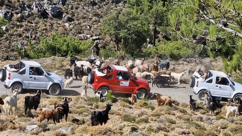 Jeep Driving Tour to Thripti Mountains and typical villages - Afentis at 850 meters, where two seas come into view