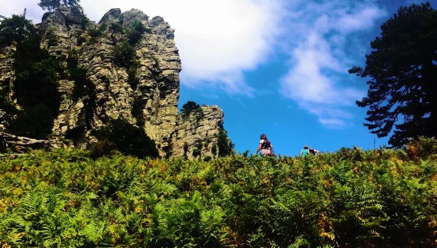 Jeep Safari in Thassos Mountain - Why this Thassos mountain trip is worth considering